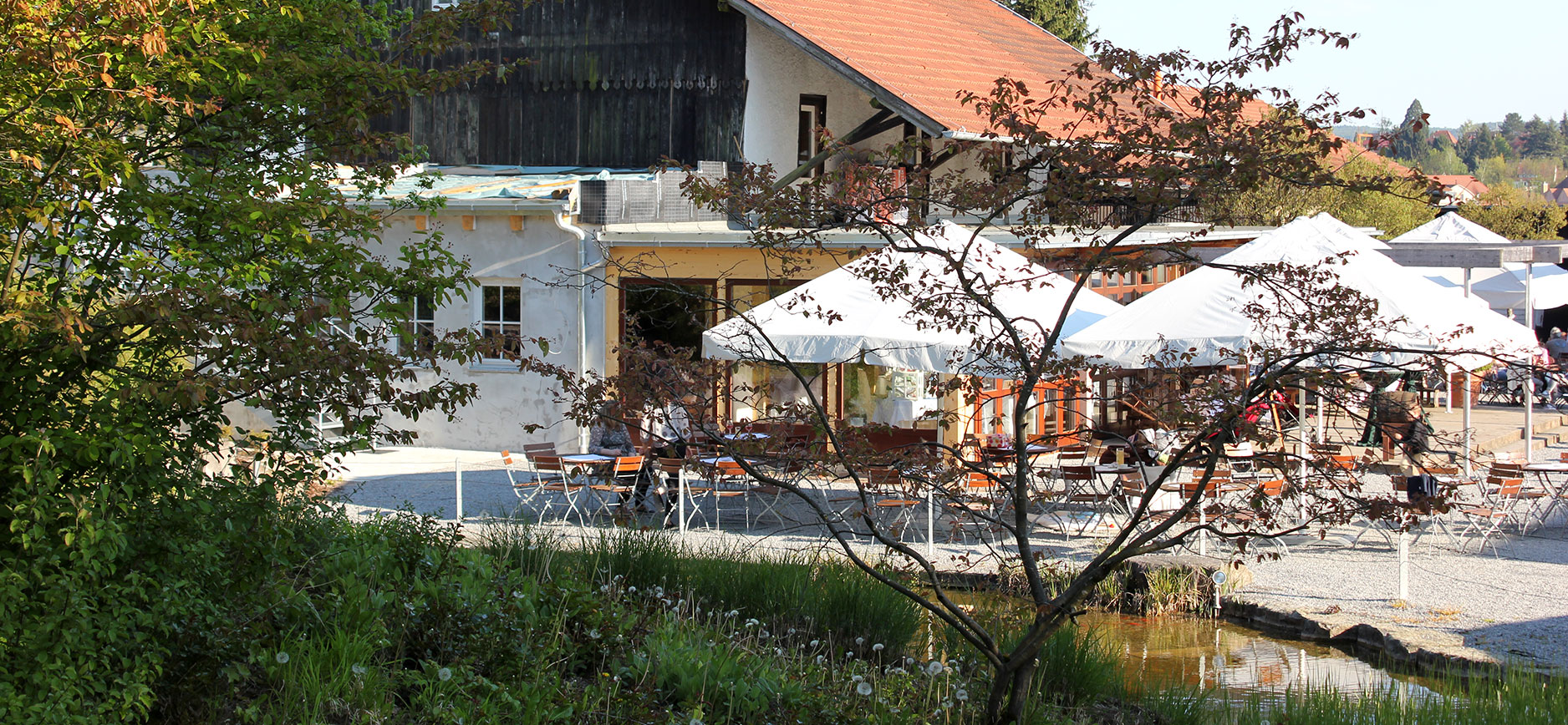 Bild-Nr.-41-IMG_7130-web